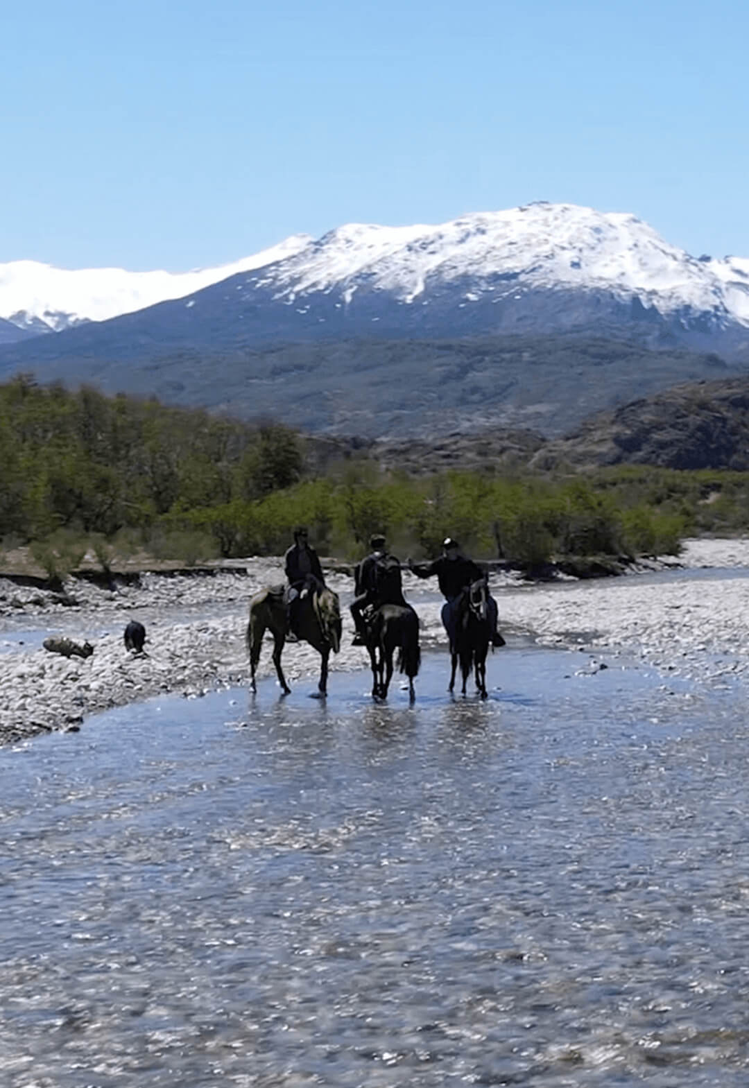 Una de las actividades que ofrecen nuestros parques es el trekking o caminata guida.