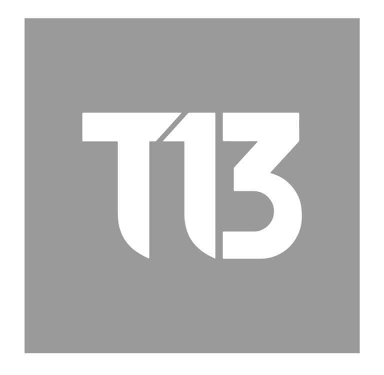 T13